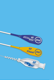 Guideliner™ V3, Guideliner™ Coast™, and TrapLiner™ Catheters