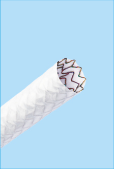 PK Papyrus™ Covered Coronary Stent