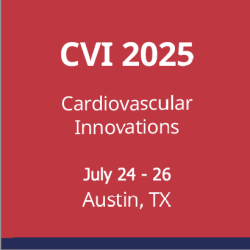 CVI-2025-3.png