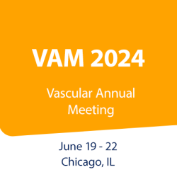 VAM 2024 event image link