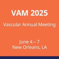 Vascular Annual Meeting 2025